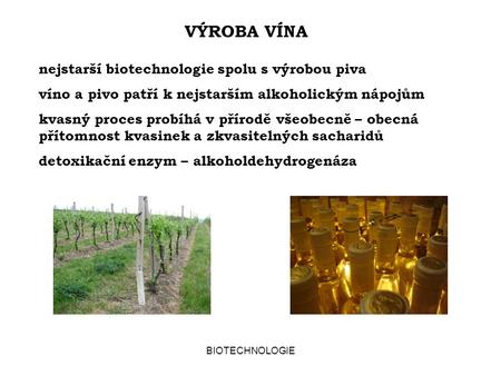 VÝROBA VÍNA nejstarší biotechnologie spolu s výrobou piva