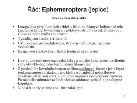 Řád: Ephemeroptera (jepice)