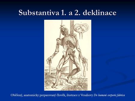 Substantiva 1. a 2. deklinace