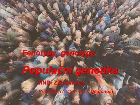 Populační genetika Fenotypy, genotypy RNDr Z.Polívková