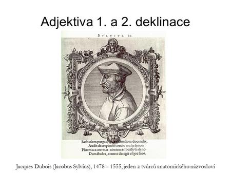 Adjektiva 1. a 2. deklinace Jacques Dubois (Jacobus Sylvius), 1478 – 1555, jeden z tvůrců anatomického názvosloví.