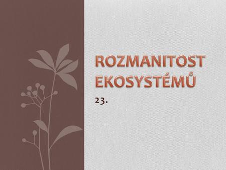 ROZMANITOST EKOSYSTÉMŮ