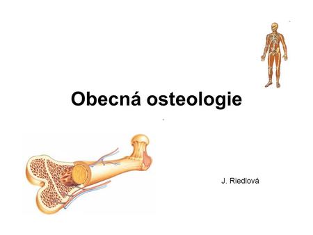 Obecná osteologie J. Riedlová.