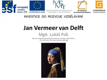 Jan Vermeer van Delft MgA. Lukáš Psík