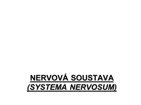 NERVOVÁ SOUSTAVA (SYSTEMA NERVOSUM)