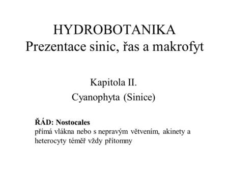 HYDROBOTANIKA Prezentace sinic, řas a makrofyt Kapitola II. Cyanophyta (Sinice) Nostocales ŘÁD: Nostocales přímá vlákna nebo s nepravým větvením, akinety.