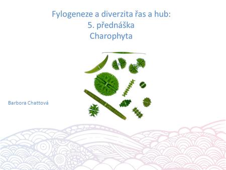 Fylogeneze a diverzita řas a hub: 5. přednáška Charophyta