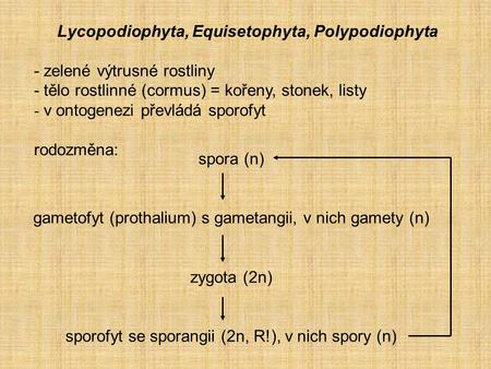 Lycopodiophyta, Equisetophyta, Polypodiophyta