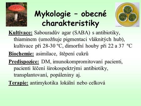 Mykologie – obecné charakteristiky