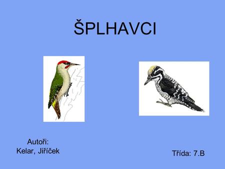 ŠPLHAVCI Autoři: Kelar, Jiříček Třída: 7.B.