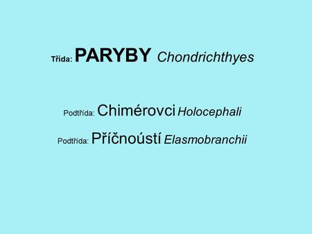 Třída: PARYBY Chondrichthyes