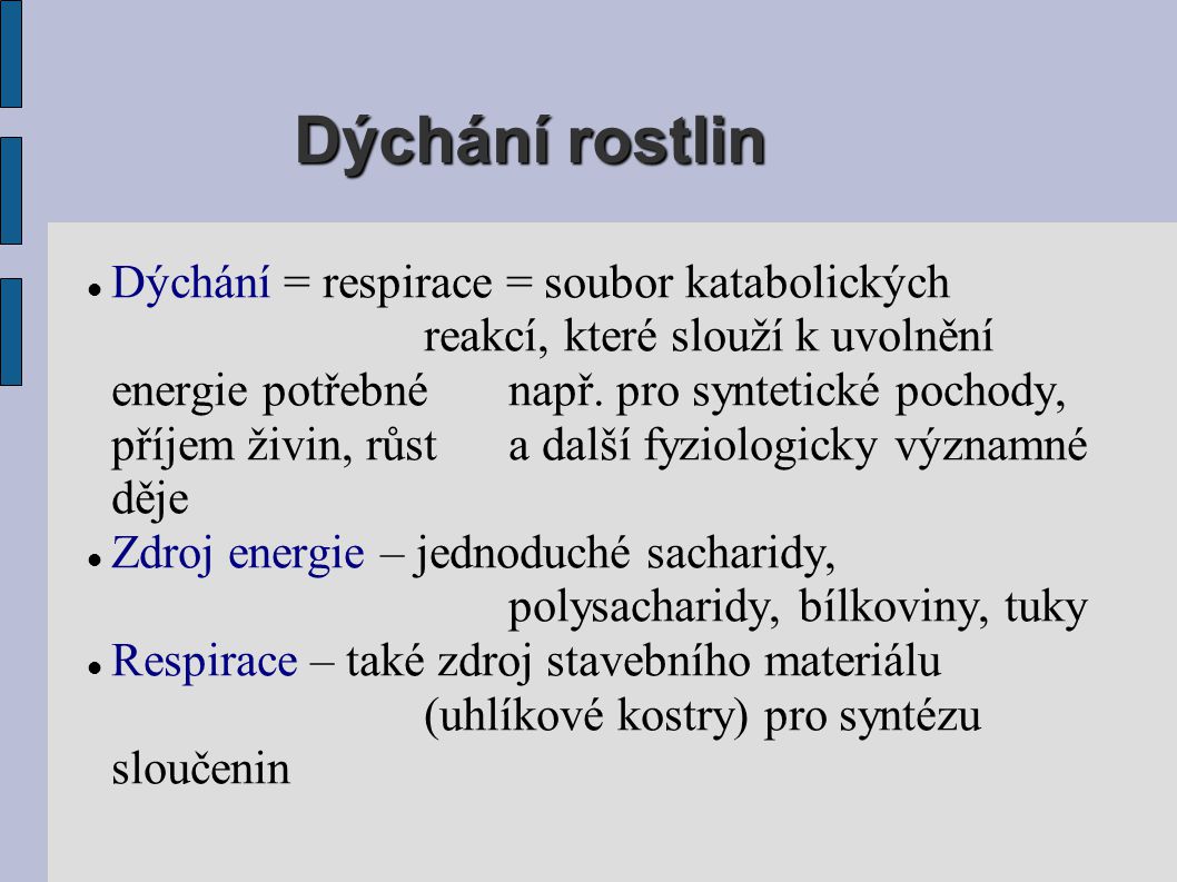 Co je to dýchání rostlin?