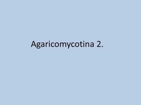 Agaricomycotina 2..