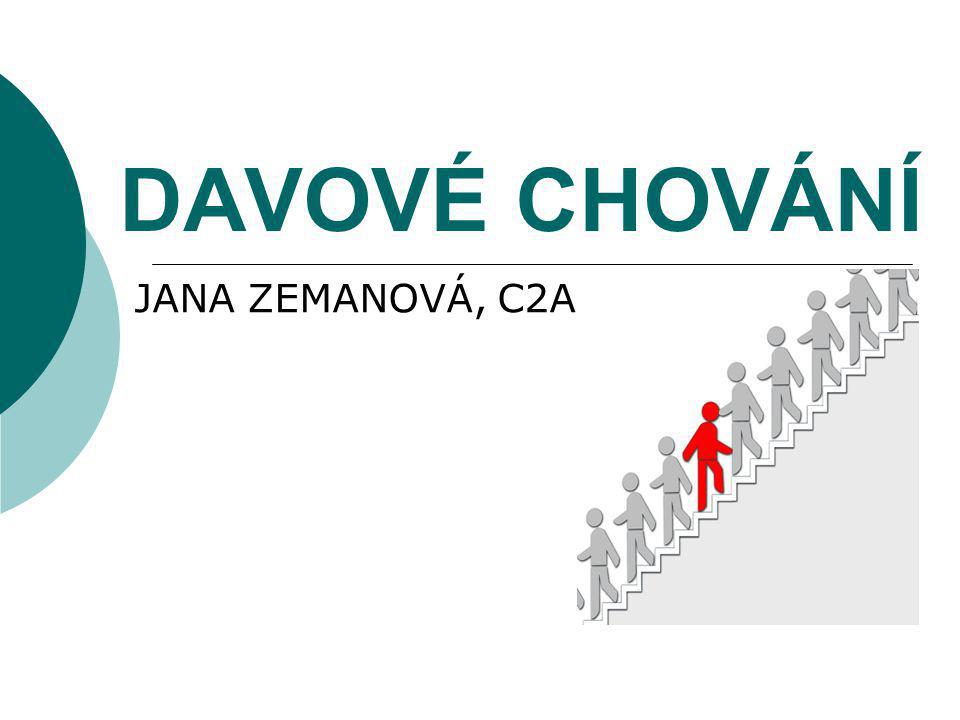 Co je to davové chování?