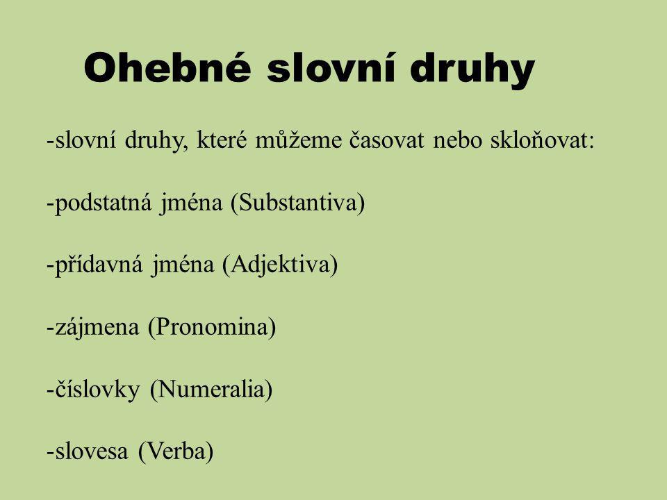 Co jsou slovní druhy ohebné?