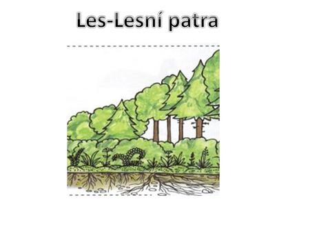Les-Lesní patra.