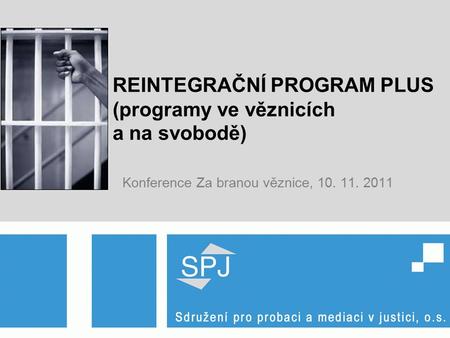 REINTEGRAČNÍ PROGRAM PLUS (programy ve věznicích a na svobodě) Konference Za branou věznice, 10. 11. 2011.