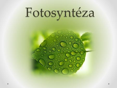 Fotosyntéza. Co to je? o Z řeckého fótos – „světlo“ a synthesis –„skládání“ o Biochemický proces, probíhá v chloroplastech (chlorofyl) o Mění přijatou.