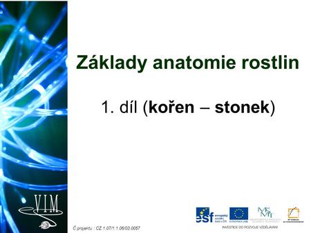 Č.projektu : CZ.1.07/1.1.06/03.0057 Základy anatomie rostlin 1. díl (kořen – stonek)