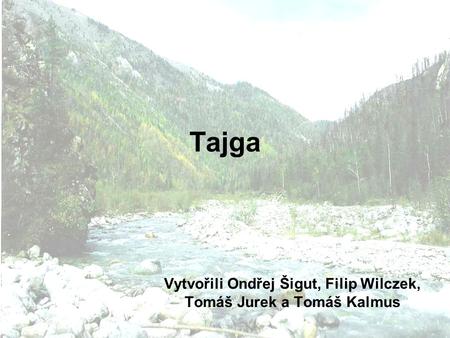 Tajga Vytvořili Ondřej Šigut, Filip Wilczek, Tomáš Jurek a Tomáš Kalmus.