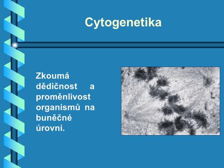 Cytogenetika Zkoumá dědičnost a proměnlivost organismů na buněčné úrovni.