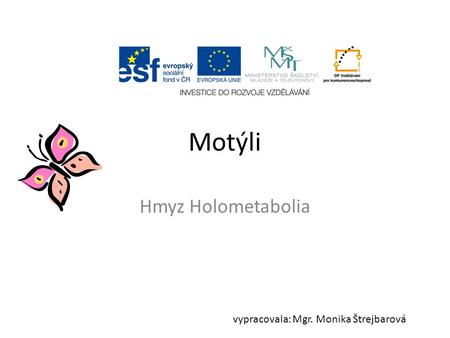 Motýli Hmyz Holometabolia vypracovala: Mgr. Monika Štrejbarová.