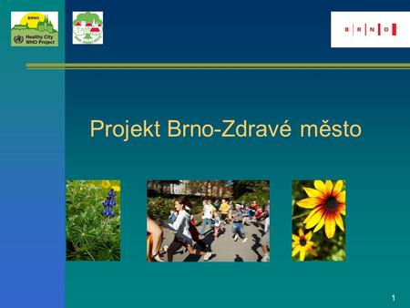 1 Projekt Brno-Zdravé město. 2 Cíl zlepšení zdraví a kvality života obyvatel podpora udržitelného rozvoje Projekt Zdravé město Zásady mezioborová spolupráce.