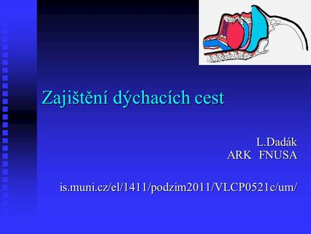 Zajištění dýchacích cest L.Dadák ARK FNUSA is.muni.cz/el/1411/podzim2011/VLCP0521c/um/