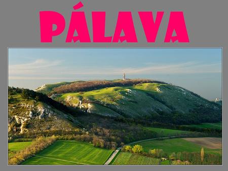 PÁLAVA. Pálava je skutečným přírodním klenotem České republiky, chráněnou krajinnou oblastí byla vyhlášena v roce 1976. CHKO Pálava leží v nejteplejší.