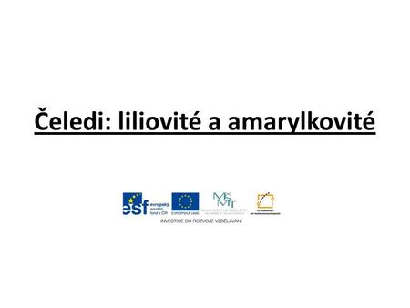 Čeledi: liliovité a amarylkovité Základní škola Choltice, okres Pardubice - Učíme se pro život Šablona: č. III/2 Inovace a zkvalitnění výuky pomocí.