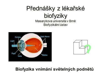 Přednášky z lékařské biofyziky Masarykova universita v Brně Biofyzikální ústav Biofyzika vnímání světelných podnětů.