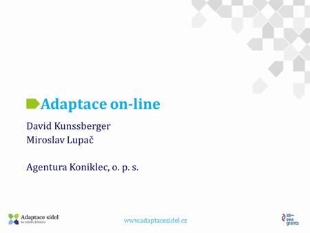 Adaptace on-line David Kunssberger Miroslav Lupač Agentura Koniklec, o. p. s.