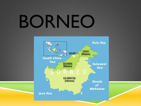 BORNEO.  Borneo je 3. největší ostrov na světě. Nachází se v jihovýchodní Asii. Skoro po celém Borneu se rozkládá deštný les, ale rok po roku upadá,