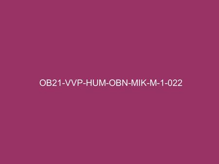 OB21-VVP-HUM-OBN-MIK-M-1-022. O s o b n o s t Mgr. Marie Mikulcová.