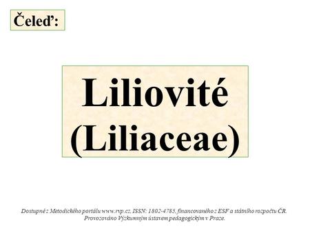Čeleď: Liliovité (Liliaceae) Dostupné z Metodického portálu  ISSN: 1802-4785, financovaného z ESF a státního rozpočtu ČR. Provozováno Výzkumným.
