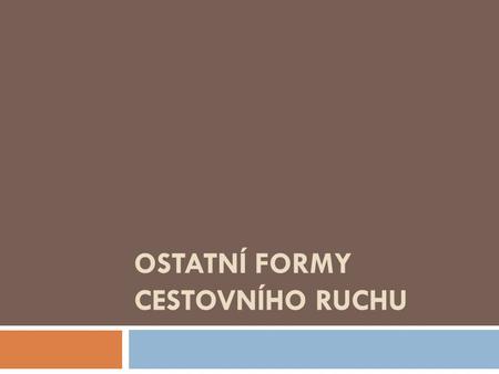 OSTATNÍ FORMY CESTOVNÍHO RUCHU