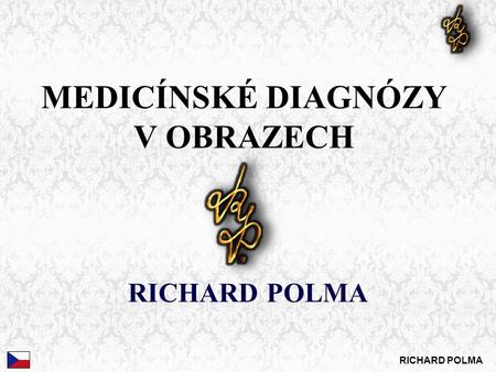 MEDICÍNSKÉ DIAGNÓZY V OBRAZECH RICHARD POLMA. nemoci tu byly před medicínou RICHARD POLMA,,Není velkého umění bez šílenství.“ Seneca.
