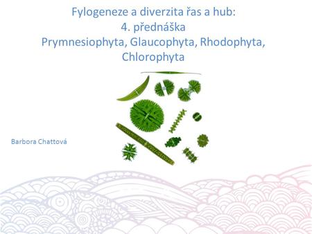 Fylogeneze a diverzita řas a hub: 4. přednáška Prymnesiophyta, Glaucophyta, Rhodophyta, Chlorophyta Barbora Chattová.