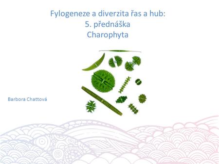 Fylogeneze a diverzita řas a hub: 5. přednáška Charophyta Barbora Chattová.