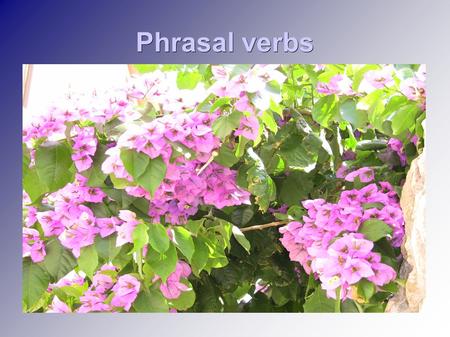 Phrasal verbs. Phrasal verbs (frázová slovesa) put on, get up. Phrasal verbs (frázová slovesa) jsou ustálená spojení slovesného tvaru a dalšího výrazu,