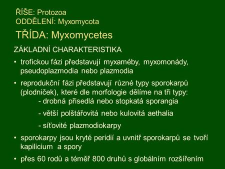 ŘÍŠE: Protozoa ODDĚLENÍ: Myxomycota TŘÍDA: Myxomycetes ZÁKLADNÍ CHARAKTERISTIKA trofickou fázi představují myxaméby, myxomonády, pseudoplazmodia nebo plazmodia.