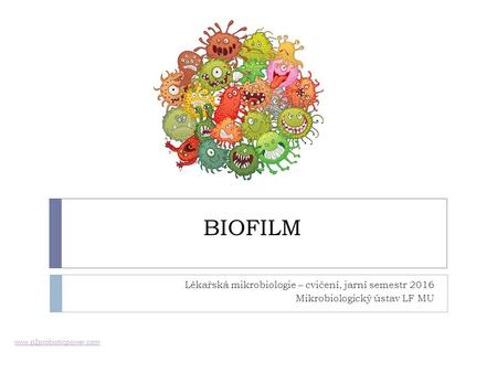 BIOFILM Lékařská mikrobiologie – cvičení, jarní semestr 2016 Mikrobiologický ústav LF MU