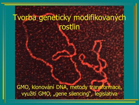 Tvorba geneticky modifikovaných rostlin GMO, klonování DNA, metody transformace, využití GMO, „gene silencing“, legislativa.