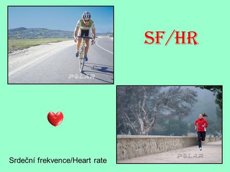 SF/HR Srdeční frekvence/Heart rate. při vypuzení systolického objemu krve ze srdce do srdečnice se rozšíří pružný začátek aorty při následující diastole.