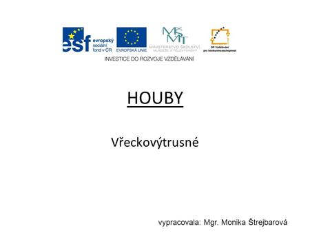 HOUBY Vřeckovýtrusné vypracovala: Mgr. Monika Štrejbarová.