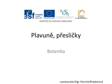 Plavuně, přesličky Botanika vypracovala: Mgr. Monika Štrejbarová.