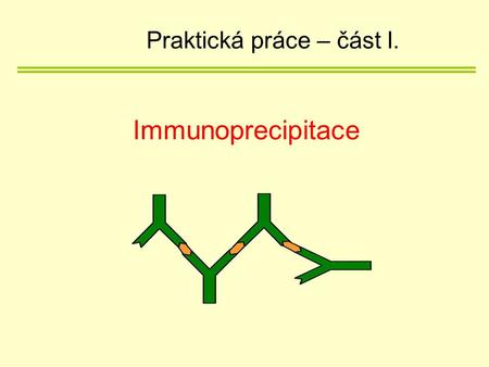 Immunoprecipitace Praktická práce – část I.. Protokol k experimentu Protokol.