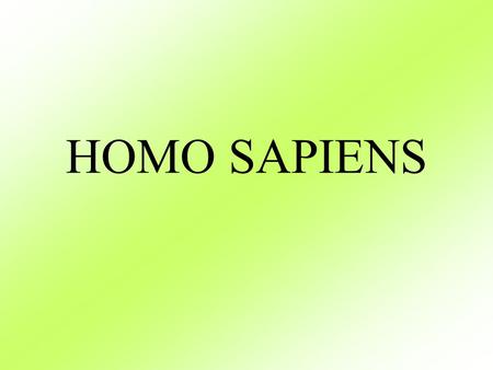 HOMO SAPIENS. Homo sapiens ( člověk rozumný) žil ve středním paleolitu před 250 000-40 000 let př.n.l. na území Evropy, Afriky a Asie. K tomuto druhu.