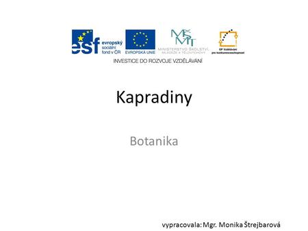 Kapradiny Botanika vypracovala: Mgr. Monika Štrejbarová.