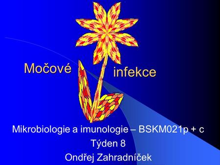 Močové Mikrobiologie a imunologie – BSKM021p + c Týden 8 Ondřej Zahradníček infekce.